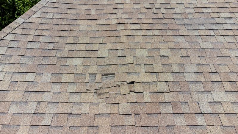 Asphalt Roof Inspection in Belleville, NJ