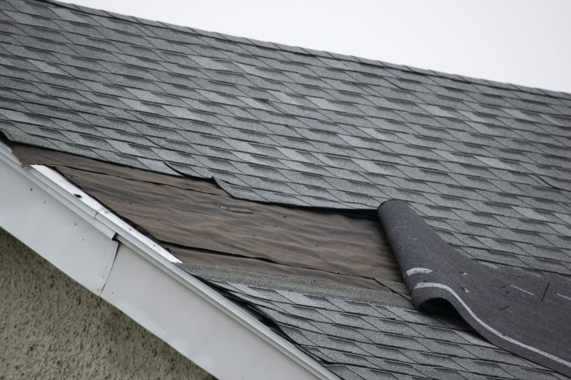 Asphalt Shingles Repair in Fresh Meadows, NY