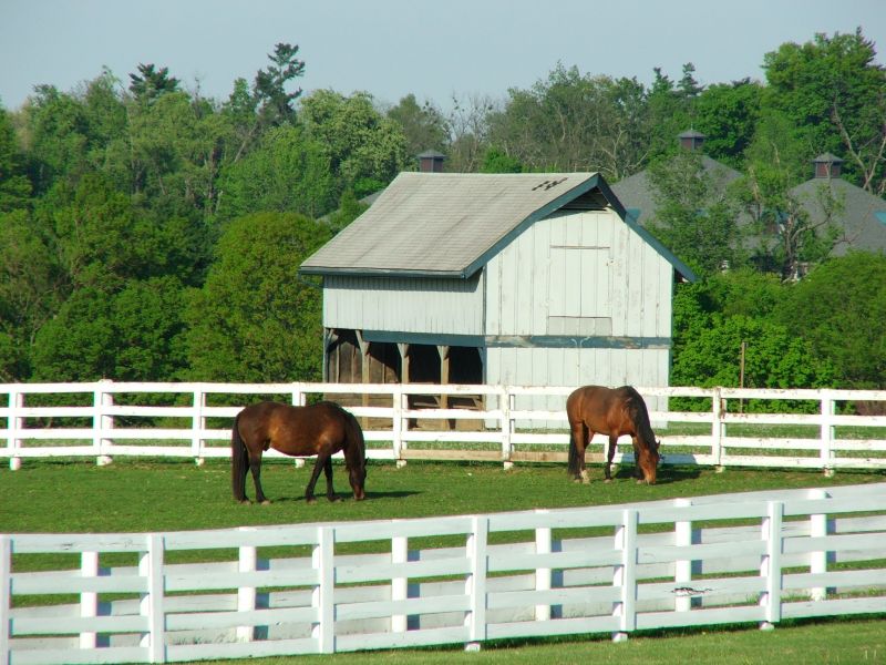 Barn Roof Construction in Passaic County, NJ