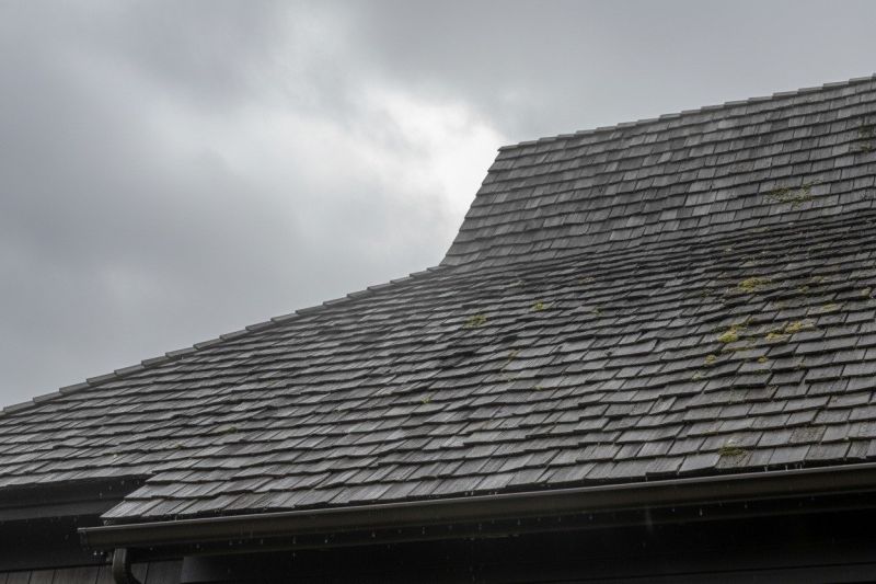 Cedar Roof Replacement in Essex County, NJ