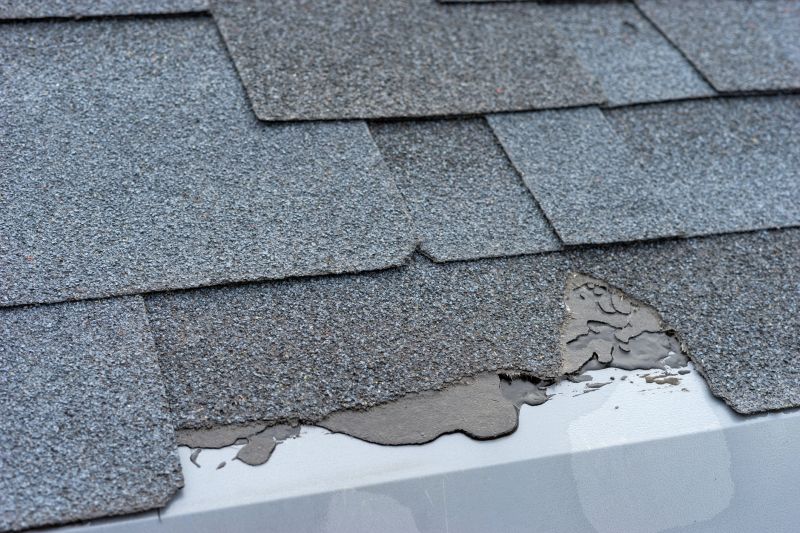 Damaged Roof Repair in Bloomingdale, NJ
