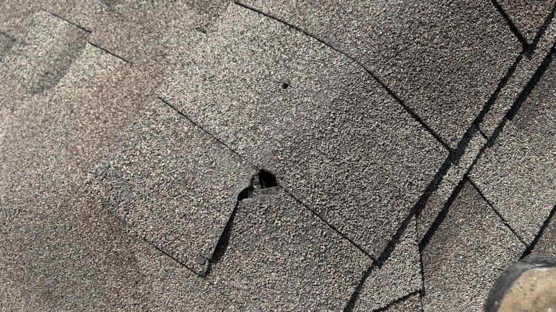 Damaged Roof Repair in Lodi, NJ