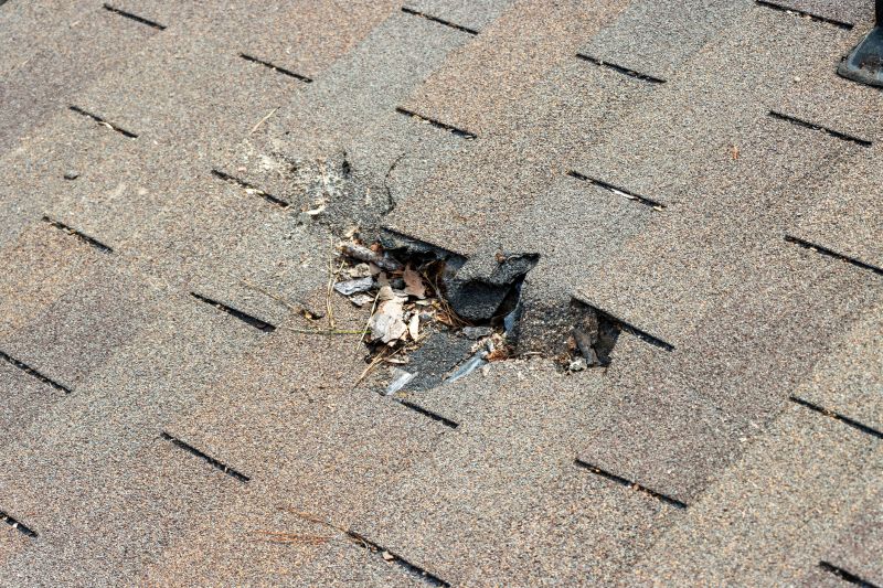 Damaged Roof Replacement in Nyack, NY