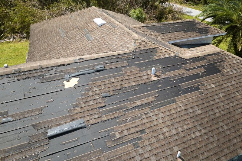 Hail Damage Roof Repair in Green Village, NJ