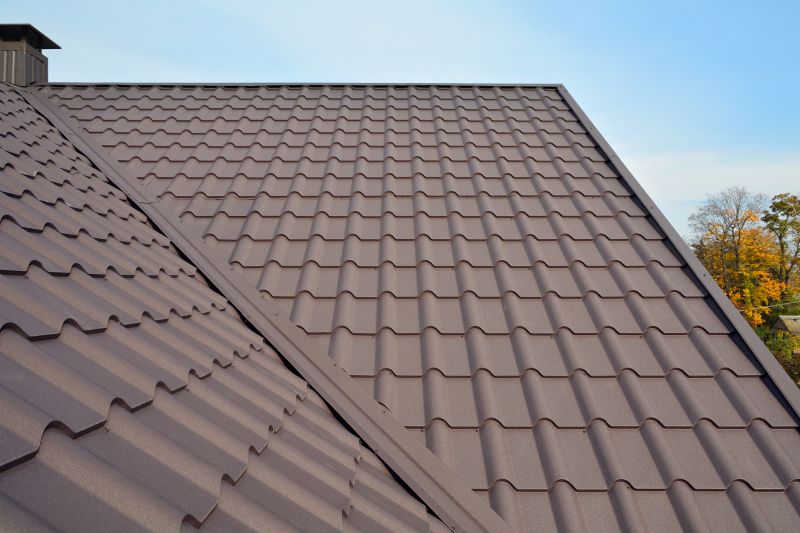 Tin Roof Installation in Colonia, NJ